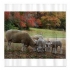 Fall Sheep Shower Curtain Preview Image